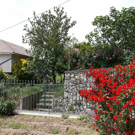 Bb Santalucia Bed & Breakfast